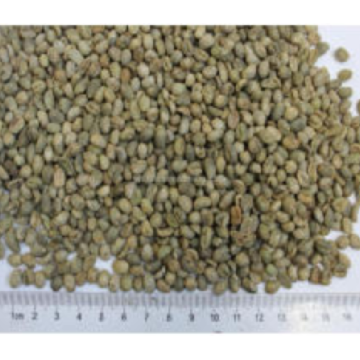 wholesale Fresh Coffee Beans factory